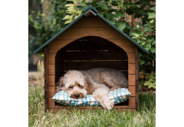 Casa Rural para Perro: ¿Cómo escoger la mejor para tu canino?